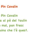 Pin Pin Cavalin