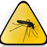 La zanzara Mariarosa
