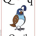 Schede alfabeto inglese da stampare: lettera Q
